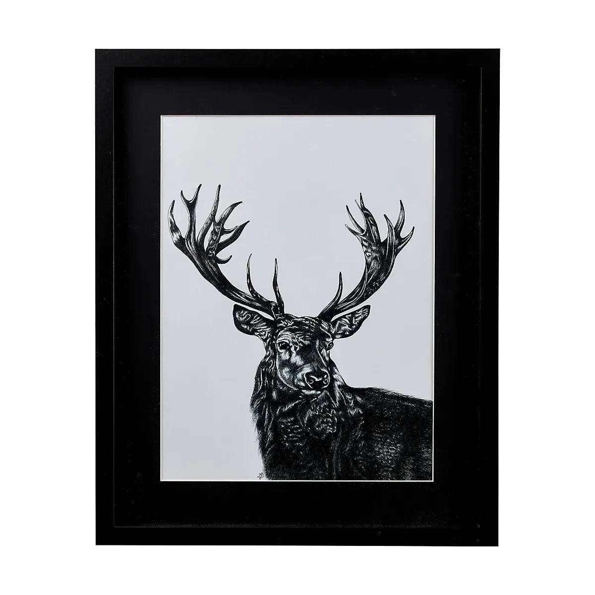 Stag Black Framed print (H)53cm x (W)43cm-Furniture Kingdom